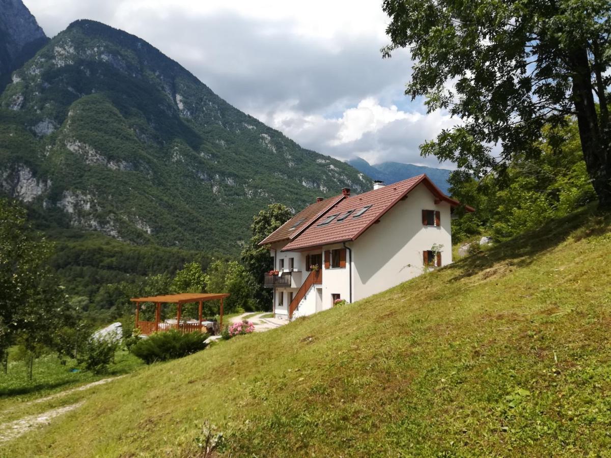 Apartma Elizabeth Srpenica Exterior photo