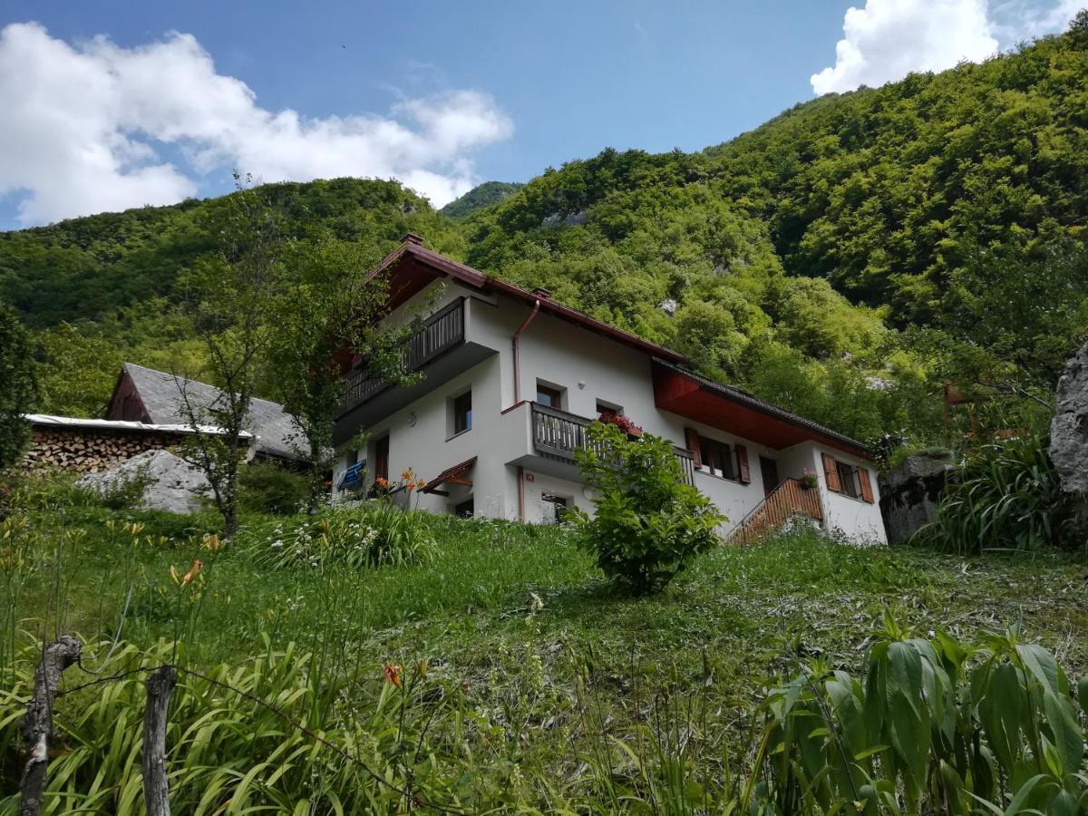 Apartma Elizabeth Srpenica Exterior photo